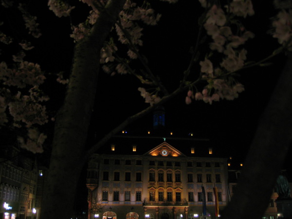 IMG_2629.jpg