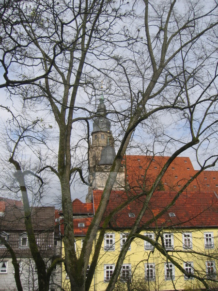 IMG_2632.jpg